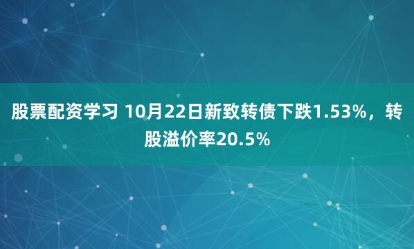 股票配资学习 10月22日新致转债下跌1.53%，转股溢价率20.5%