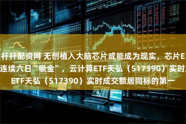 杆杆配资网 无创植入大脑芯片或能成为现实，芯片ETF天弘（159310）连续六日“吸金”，云计算ETF天弘（517390）实时成交额居同标的第一