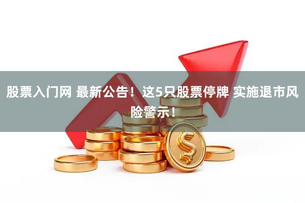 股票入门网 最新公告！这5只股票停牌 实施退市风险警示！